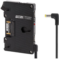 

Wooden Camera WC Pro Gold Mount Plate with Connector for Canon C100, C100mkII, C300, C500