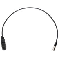 

Wooden Camera 20" Mini 3-Pin XLR Male to Full 3-Pin XLR Female Audio Cable for BMPCC 6K/4K