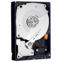

WD Black 1TB 3.5" Internal Hard Drive, 7200 RPM, SATA 6 Gb/s Interface, 150 Mb/s (Max) Transfer Rate
