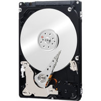 

WD Black 2.5" 320GB Performance Mobile Internal Hard Drive, 7200 RPM, SATA III 6Gb/s
