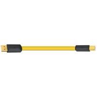 

WireWorld Chroma USB A to B (CSB) USB 2.0 Audio Cable, 10' (3.0m)