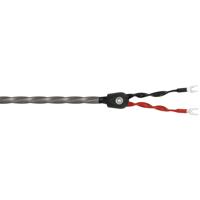 

WireWorld Equinox Pro (EQSS) Single Speaker Cable, 1.6' (0.5m)