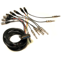 

Whirlwind 10' DB25 Male to 8 XLRF Parallel to 8 TRSM Connect Series Molded Cable, Digidesign/Tascam Analog Pinout