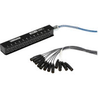 

Whirlwind Medusa Mini-12 12-Channel Low Profile Audio Drop Snakes Cable, 25' Length