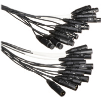 

Whirlwind 50' Medusa Multitrack Series 12-Channel XLR Female to XLR Male Fanout Snake Cable
