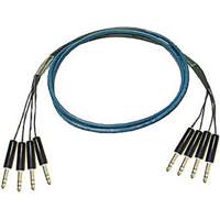 

Whirlwind 10' Medusa Multitrack Series 4-Channel 1/4" TRS Male to 1/4" TRS Male Fanout Snake Cable