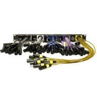

Whirlwind 3' 60 Channel 1RU W1CF to XLRM Tails Patchmaster, Snakeskin