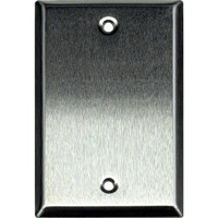 

Whirlwind WP1/0H Wall Mounting Plate, 1 Gang, Blank, Stainless Steel