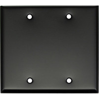 

Whirlwind WP2B/0H Wall Mounting Plate, 2 Gang, Blank, Black