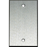 

Whirlwind WPX1/0H Wall Mounting Plate, 1 Gang, .125" Clear Anodized Aluminum, Blank