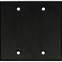 

Whirlwind WPX2B/0H Wall Mounting Plate, 2 Gang, .125" Black Anodized Aluminum, Blank
