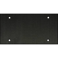 

Whirlwind WPX4B/0H Wall Mounting Plate, 4 Gang, .125" Black Anodized Aluminum, Blank