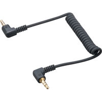 

Zoom SMC-1 Stereo Mini Cable for DSLR Cameras