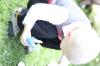Image Thumbnail