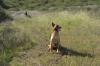 Image Thumbnail