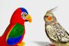 Image Thumbnail