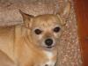 Image Thumbnail