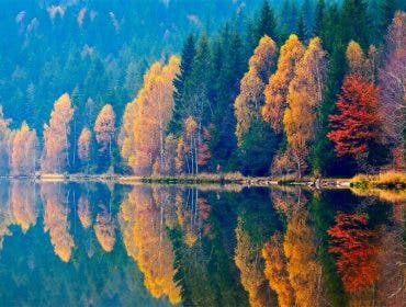 autumn landscape
