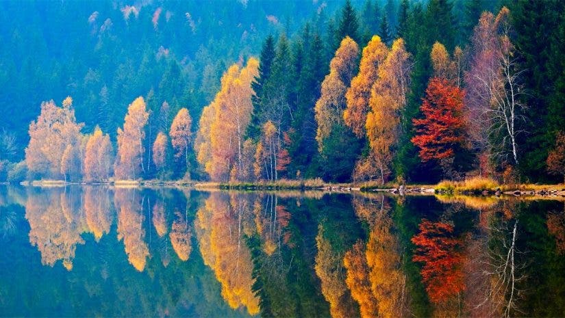 autumn landscape