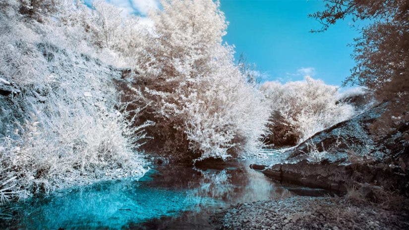infrared photography