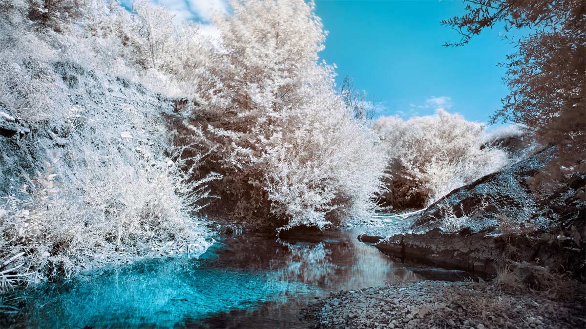 infrared photography