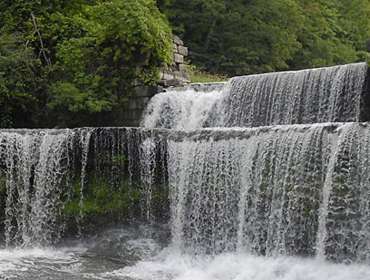 waterfalls and forest photography