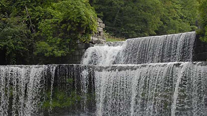 waterfalls and forest photography
