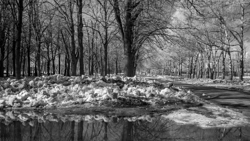 digital infrared photography