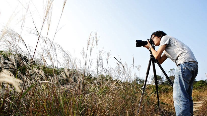 photographer shooting nature
