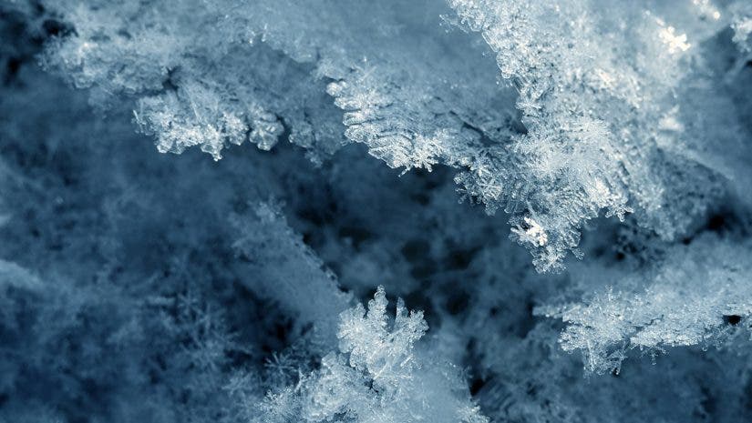 snowflake close-up