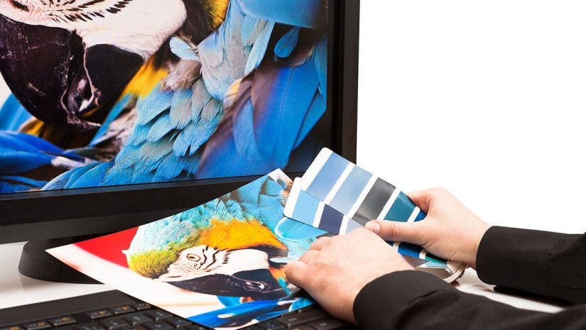 monitor printed picture swatches