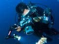 underwater photography scuba diver