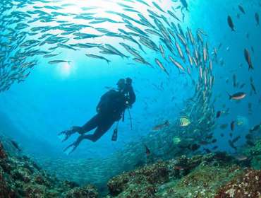 Underwater Photography Composition tips