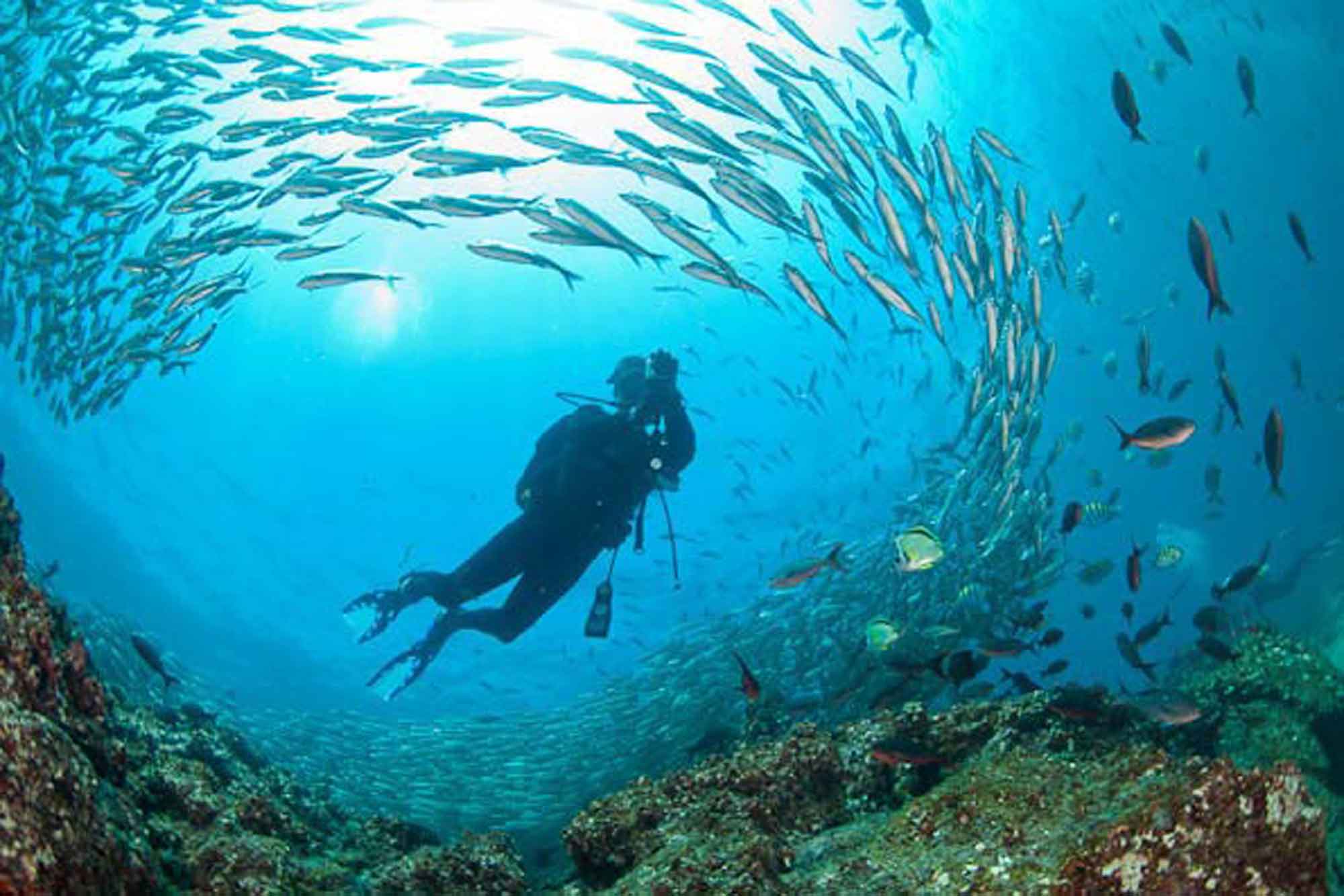 Underwater Photography Composition tips