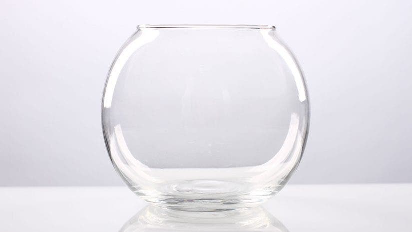 glass bowl studio