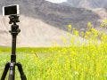 iphone tripod field mountains