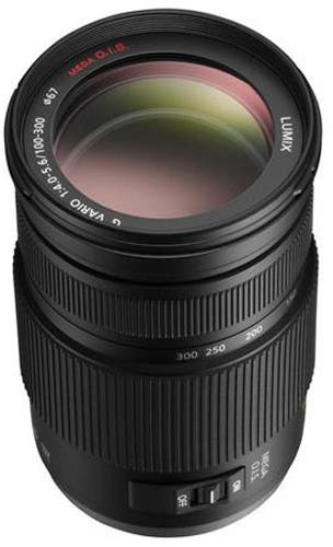 Panasonic Lumix G Vario 100-300mm