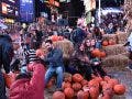 pumpkin patch new york city times square people