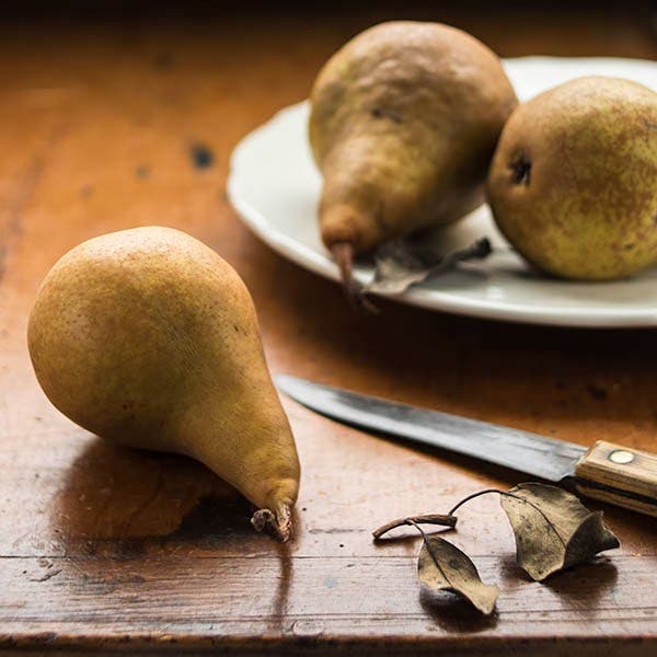 Pear Image