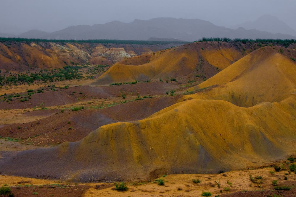 The bright overcast light following a patch of rain was a blessing, bringing out the lush colors in the badlands of Big Bend National Park. I minimized the sky but kept it in the picture to show the shape of the distant mountains.