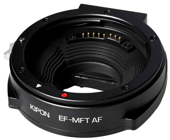 kaelam43eos2