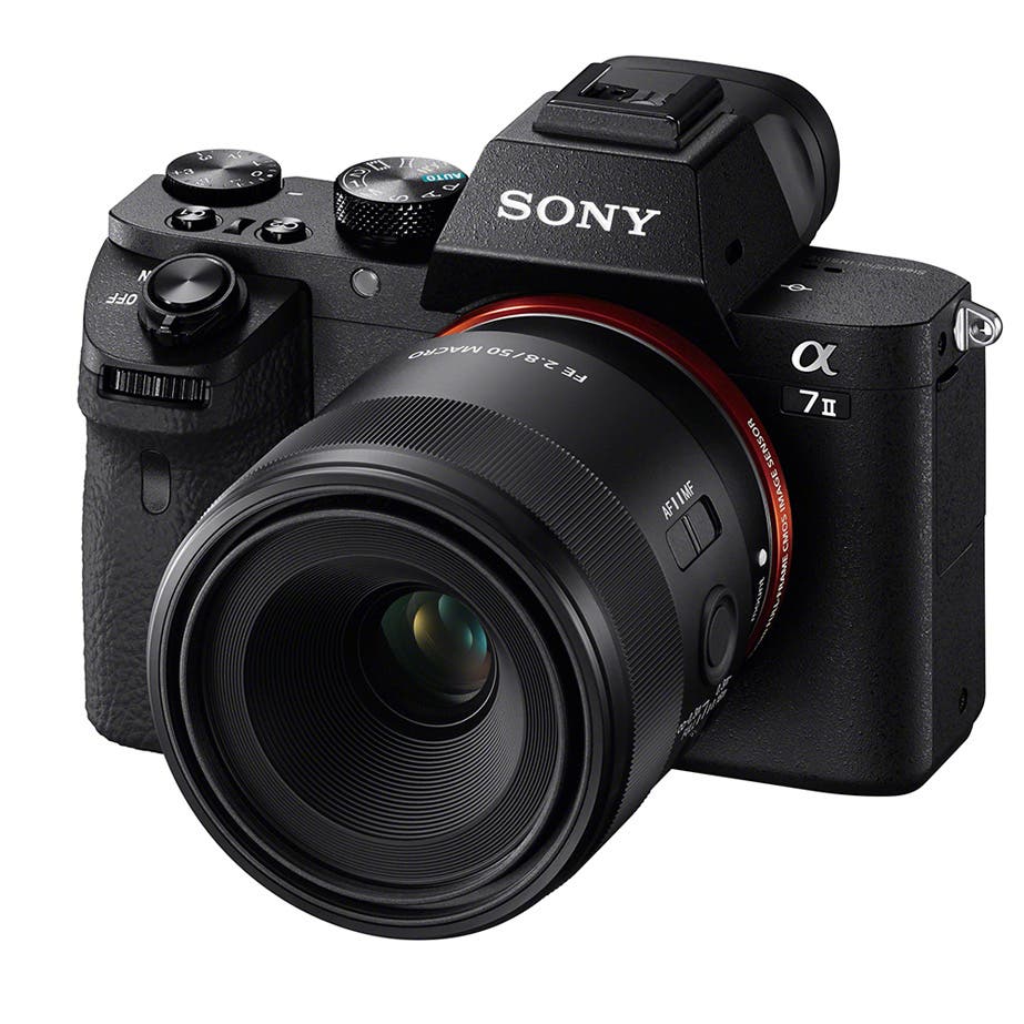 Sony FE 50mm F2.8 Macro