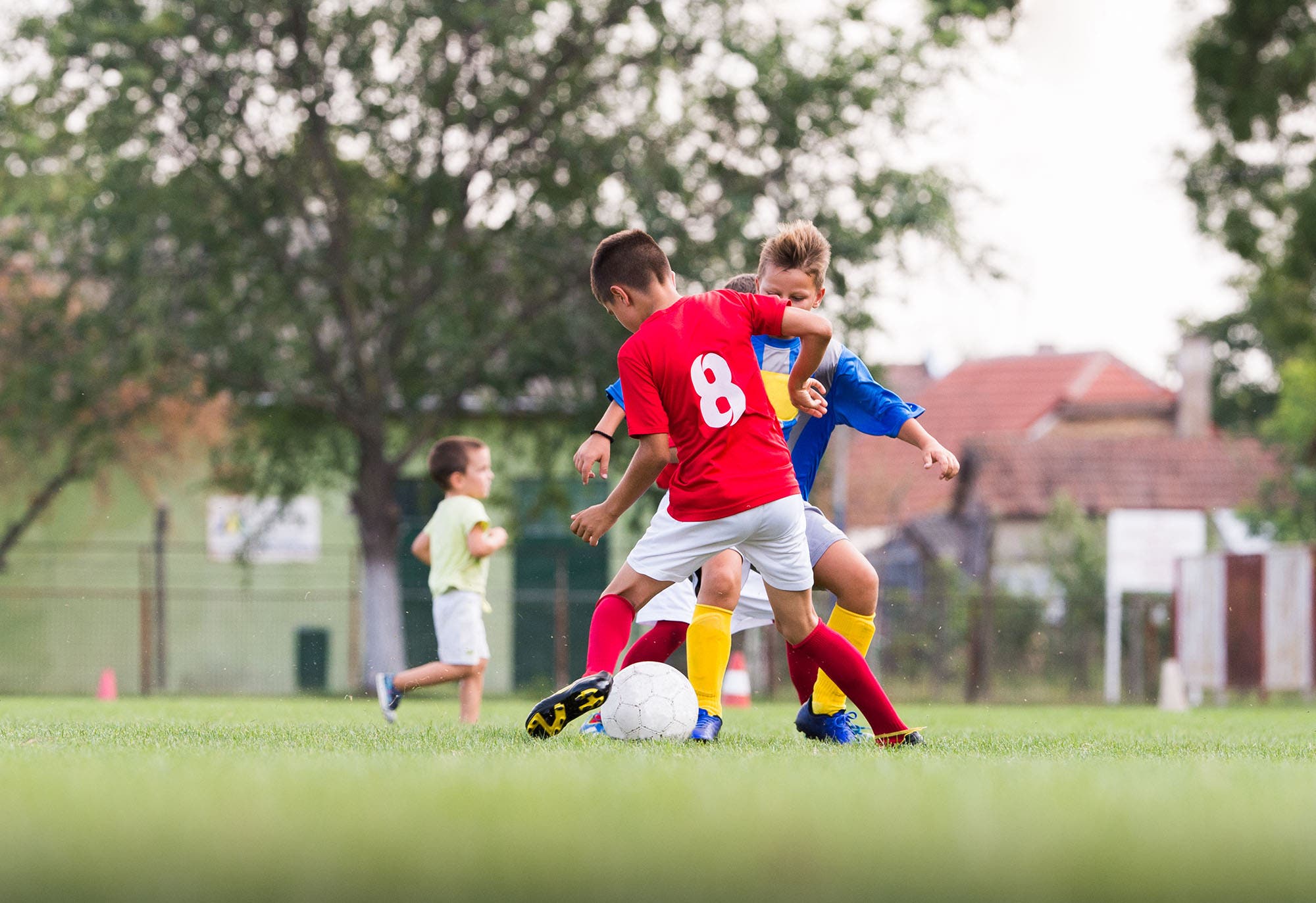 Top Lenses for Sports Photography Expert photography blogs, tip