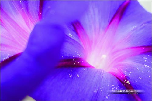 16-macro