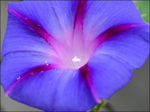 panasonic-lumix-dmc-fz2500-dawn-m-wayand-100