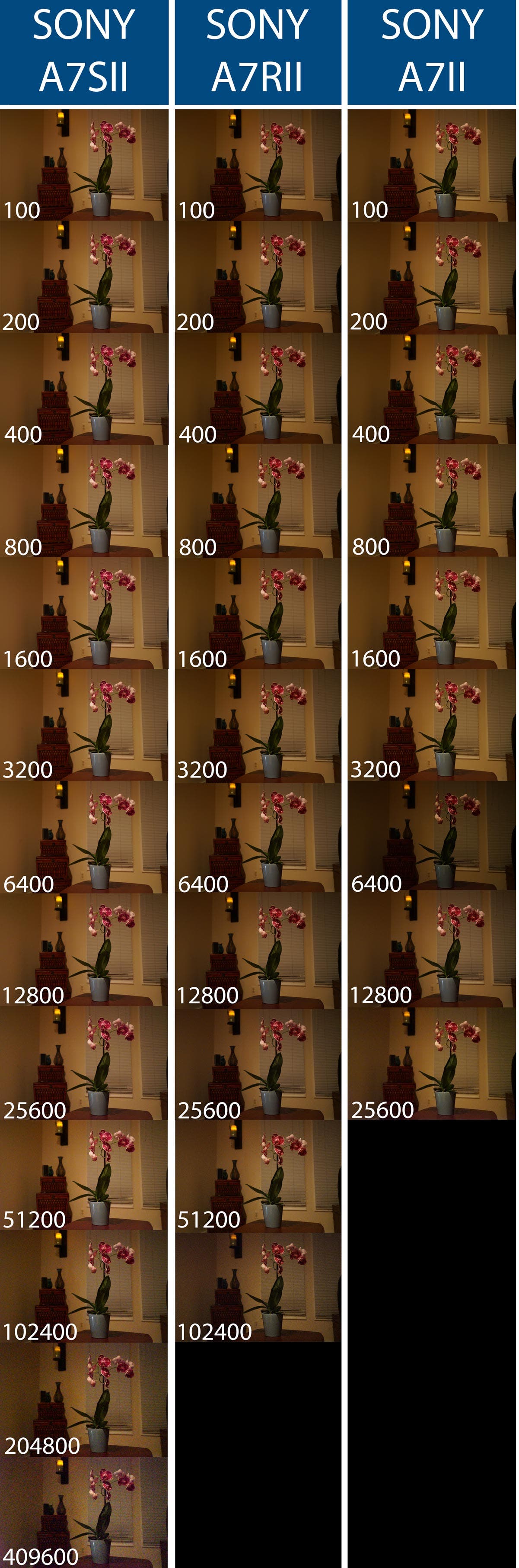 profoto3_optimized1
