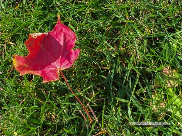 03-composition