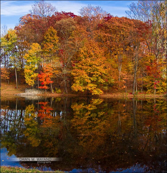 10-reflections