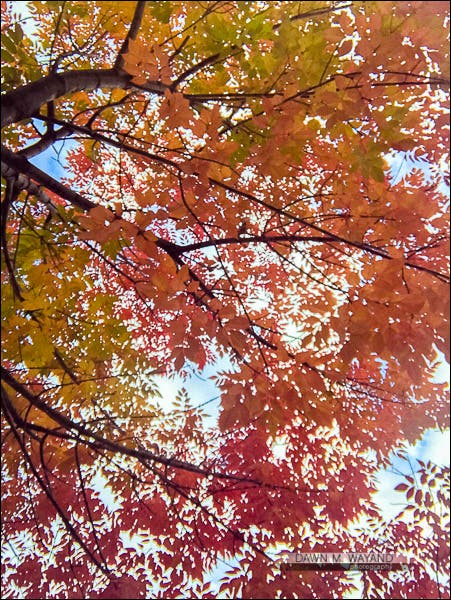 11-perspective-01