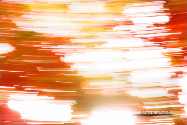 14-fall-abstracts